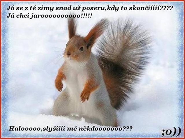Zima.jpg