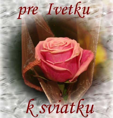 01_Kvety_01.jpg